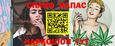 СК Балашиха