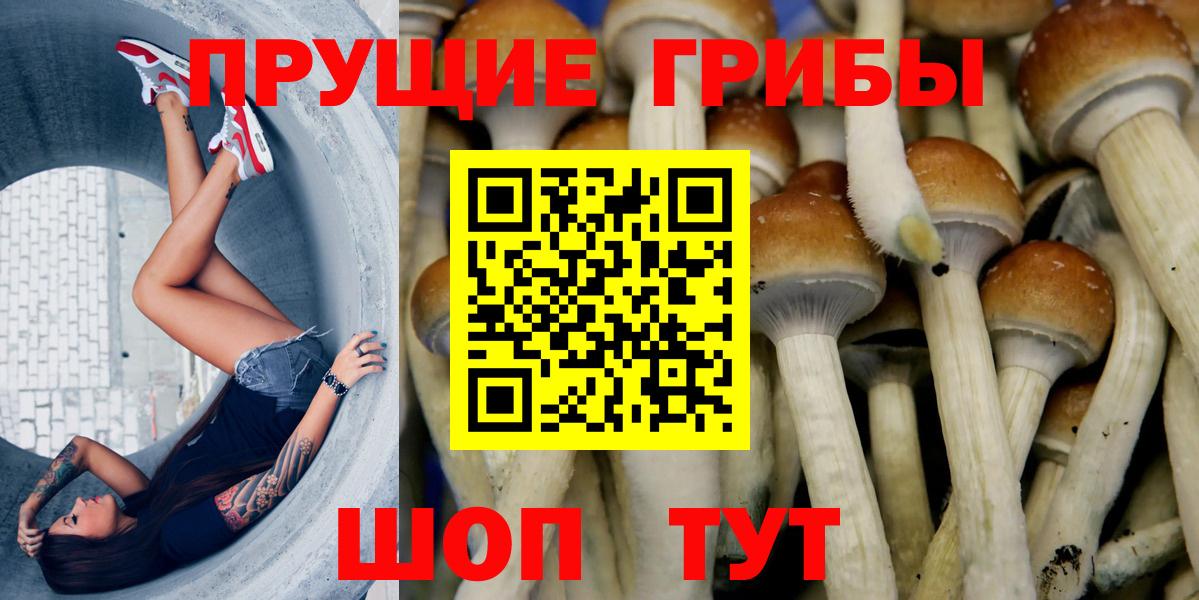 Псилоцибиновые грибы Psilocybine cubensis Егорьевск