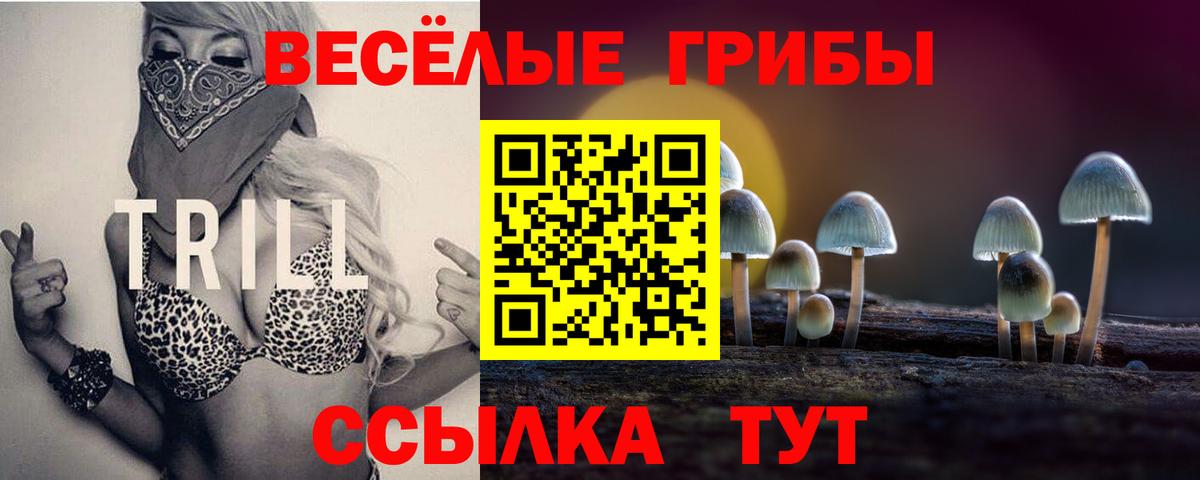 Галлюциногенные грибы прущие грибы  Вход с VPN  Егорьевск 